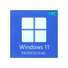 Windows 11 Professional CD-KEY